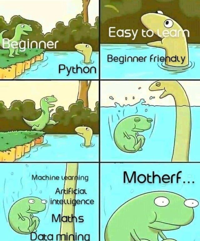 Lernpython Projektbesprechungsvorlage und Meme