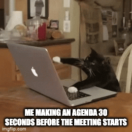 gatto che digita su un computer