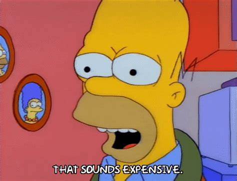 Homer: Das klingt teuer